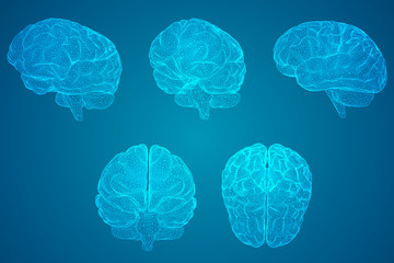 Excel函数公式大全，从基础到进阶的实用指南