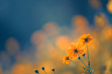 定义一个整数变量