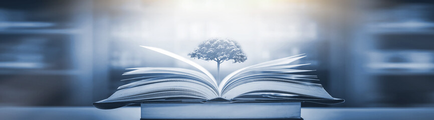 Vue代码生成器，提升开发效率的智能工具