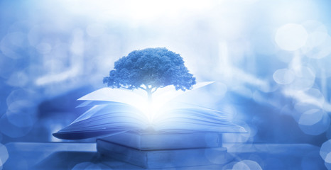 深入探索Java编程语言，从基础到进阶的全面指南