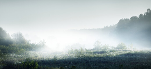 C语言基础知识入门，从零开始探索编程世界