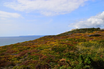 在Vim中高效浏览文档，掌握下一页的技巧