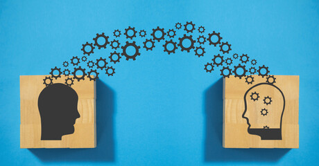 学生个人网页制作，从零开始构建你的HTML小世界