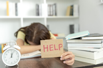 HTML网页制作代码大全，从零开始构建你的网页