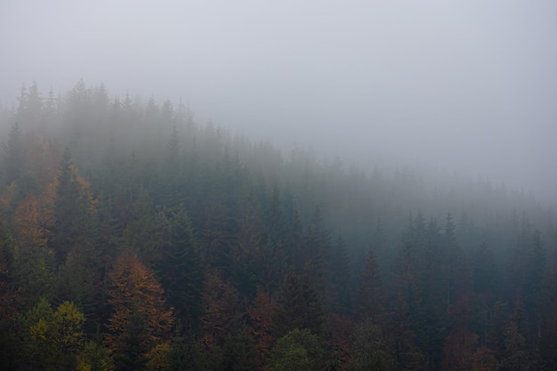 探索Python世界，精选源码分享网站大揭秘