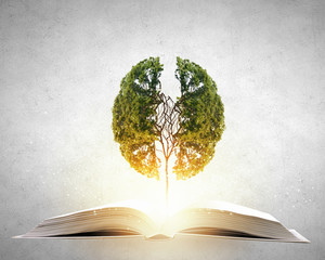 Excel函数公式大全，从基础到进阶的实用指南