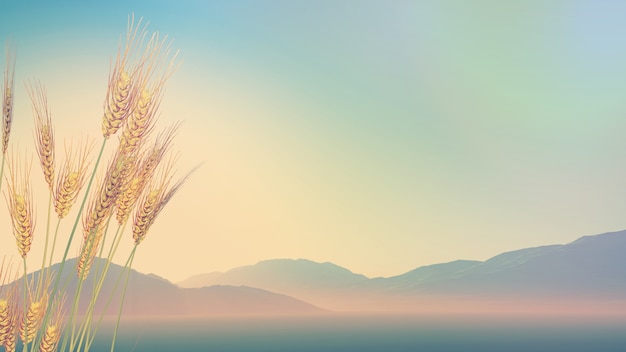 初学编程100个代码大全，解锁编程世界的钥匙