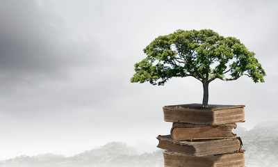 深入探索Java编程语言，从基础到进阶的全面指南