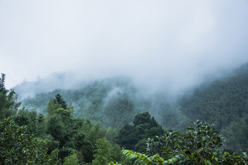 Vue代码生成器，提升开发效率的智能工具